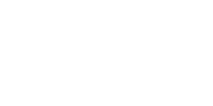 Logo von Bora in weiß