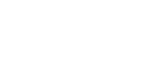Logo von Templer in weiß